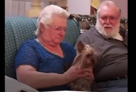 Grandma Gets Emotional Over Her Yorkie Puppy Surprise featured image